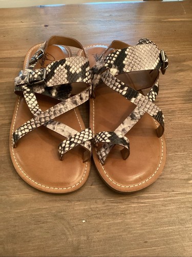 Patricia nash size black - nash, 8