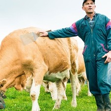 Kit Cheval De Toilettage Pour