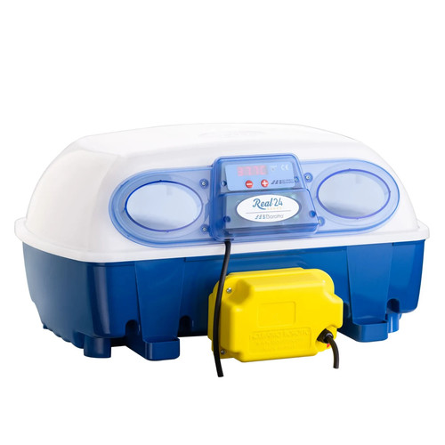 Borotto real incubateur - real,