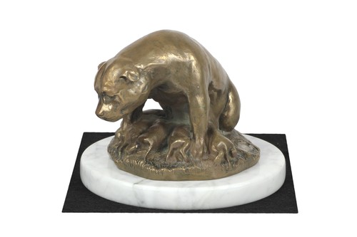 American staffordshire - american,