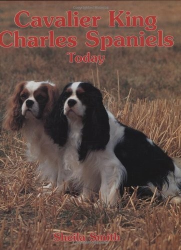 Cavalier king charles spaniels - cavalier,