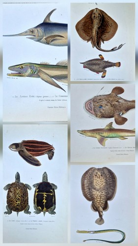 Gravures originales perche - gravures,