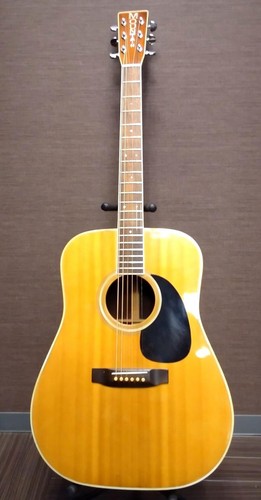 Guitare acoustique mountain - guitare,
