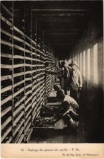 CPA AK Vanilla Pod Drying MADAGASCAR (1044474)