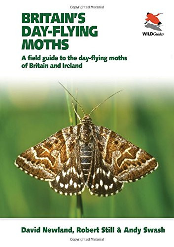 Britain day flying moths a - day-flying,