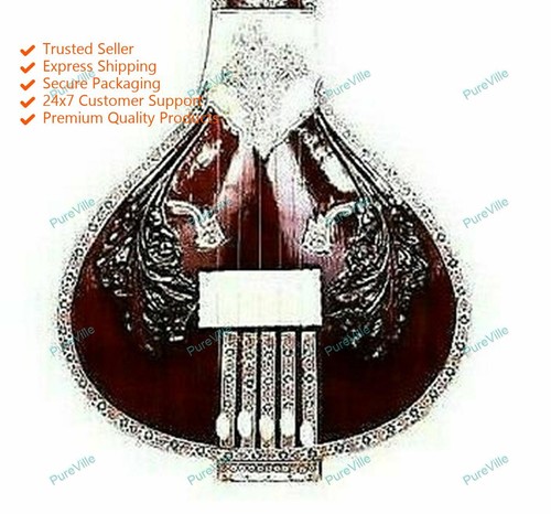 Instruments musique tanpura - de,