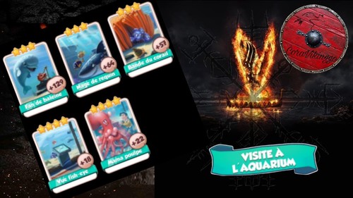 Set aquarium - , 1