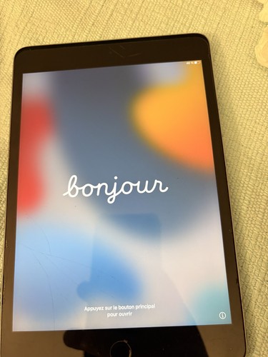 Apple ipad mini 128 go - 7,9",