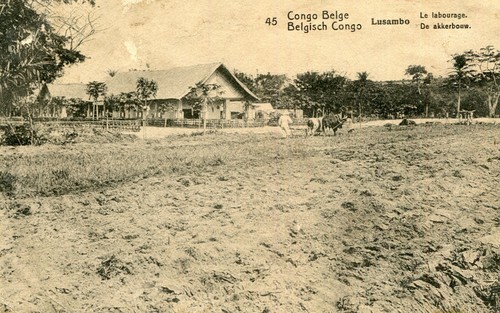 Carte congo belge - belge, le
