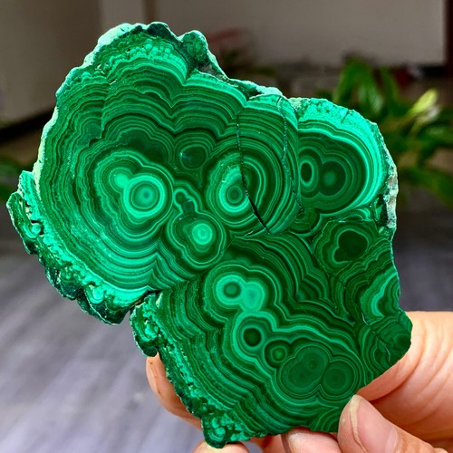 224g natural glossy malachite - 224g,