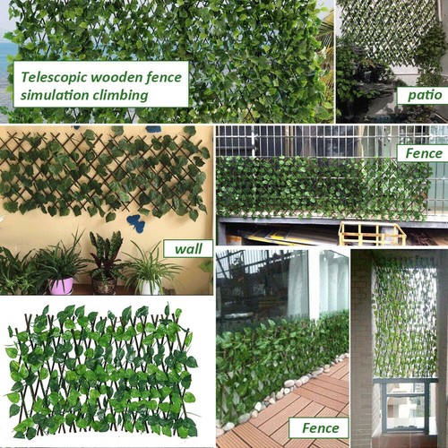 Expanding trellis jardin - expanding-trellis,