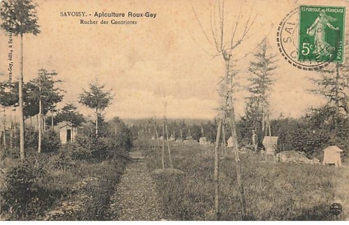 Savoisy apiculture roux gey - -, roux-gey