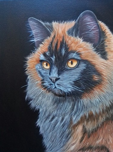 Painting animal series cat - painting,, series,