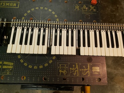 Moog polymoog single weighted - moog,