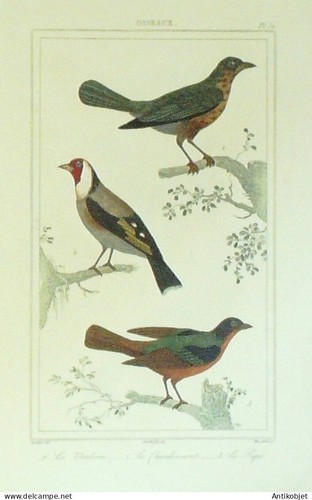 Gravure vauthier buffon - gravure, vauthier-buffon