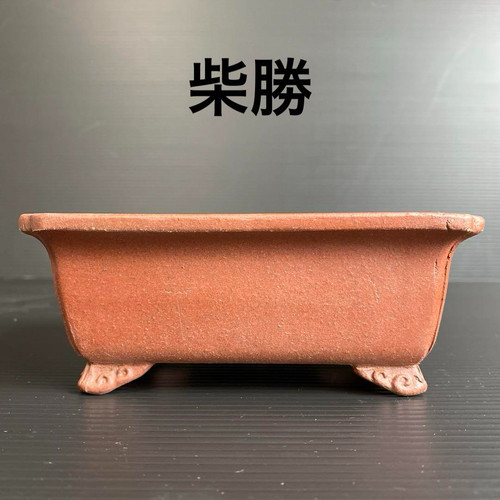 Très rare pot bonsaï - rare,