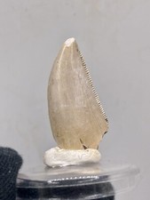 0.9''/2,3cm  TOP QUALITY