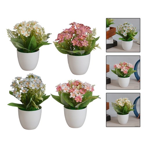 Plante pot fleurs - plante, de