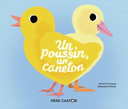 Poussin caneton - poussin,, un