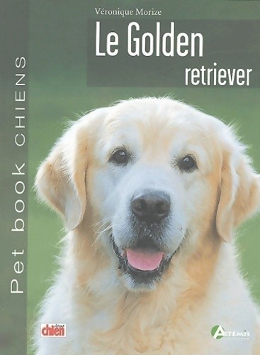 Golden retriever - le,