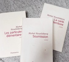 lot 3 livres Michel