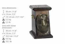 Chien Berger Shetland