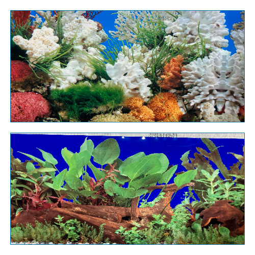 Poster fond aquarium - poster,