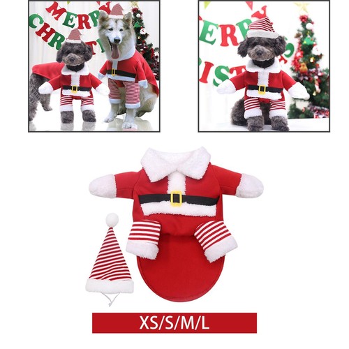 Costume mignon vêtements - de,