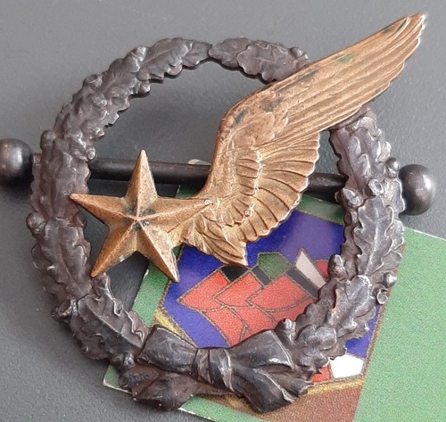 Insigne brevet 1916 - insigne,