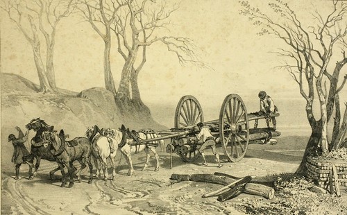 Voiture charette chevaux - charette,