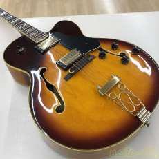 Vantage full hollow - hollow, body
