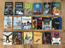 GROS LOT LIVRES JEUNESSE CHAIR DE POULE - FOLIO JUNIOR - LIVRE DE POCHE JEUNESSE