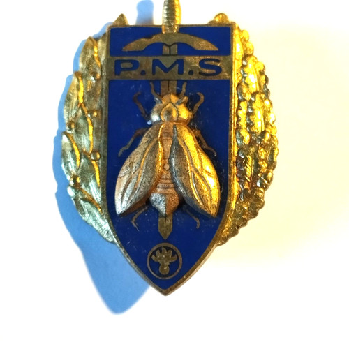 Insigne militaire pucelle - pucelle, (