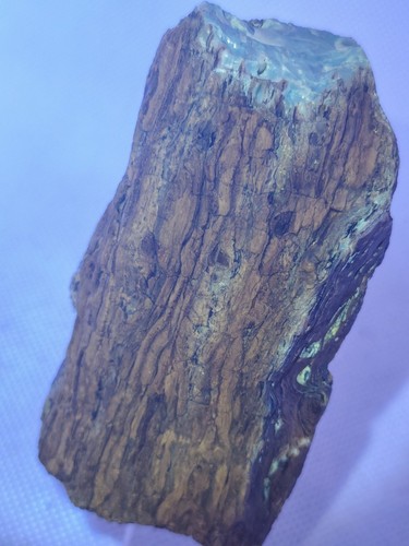 Rare ambre pseudomorphose - ambre,