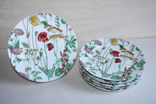 6 CNP Oxford Porcelain Dessert Plates, Field Flower Decor, 20.5cm