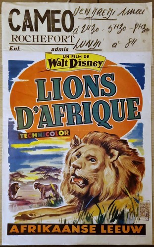 Affiche cinéma belge lions - cinéma,