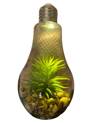 Terrarium lampe led - lampe, forme