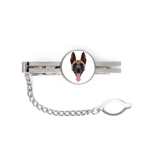 Malinois chien berger - chien,