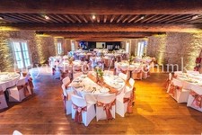 200 nœuds de chaise rose gold