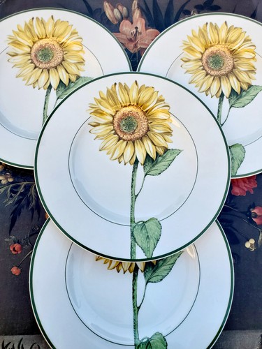 Assiettes plates flora - assiettes,
