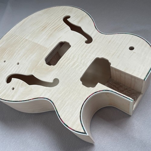 Diy electric guitar archtop - electric,
