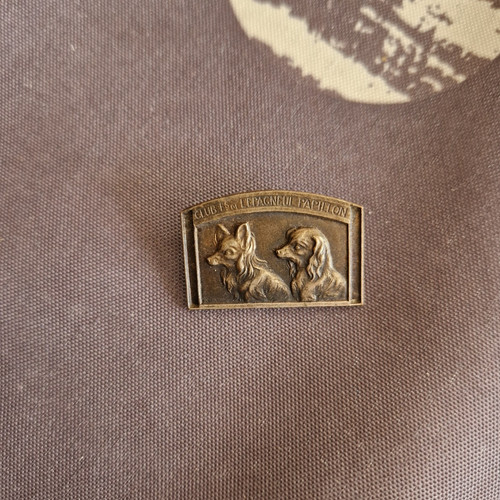 Ancienne médaille broche