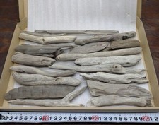 Bois flotté du Japon