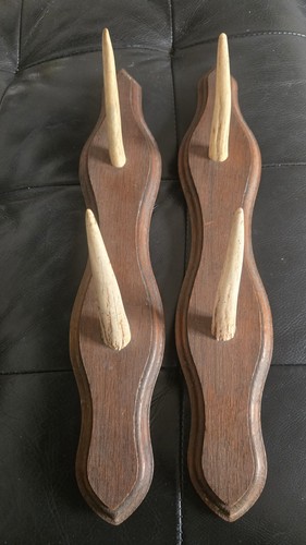 Bois râtelier cervide - c3,
