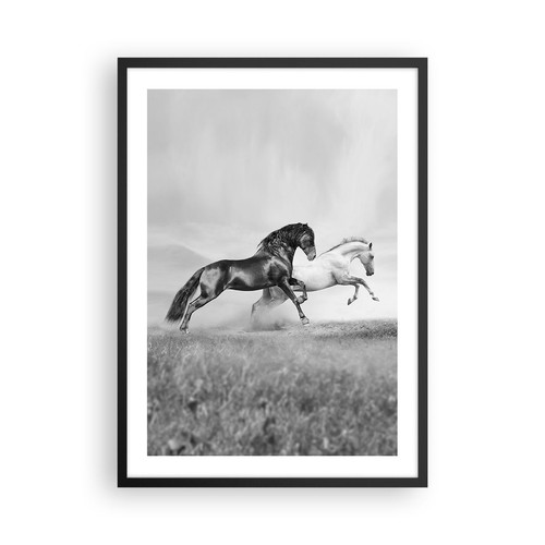 Affiche poster 50x70cm - affiche,