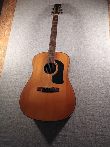 Washburn acoustic guitar n - washburn, d8-n