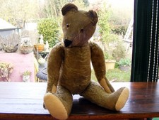 Marco ours très ancien