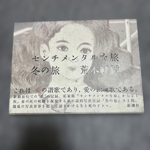 Sentimental journey winter - journey,