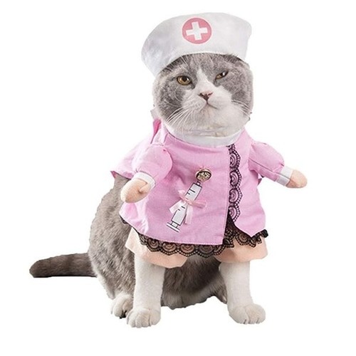 Costume infirmière pour chat - pour,