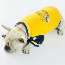 Coton Matelassé Chien